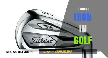 Does a 1 Iron Exist in Golf? Exploring the Rarest Club