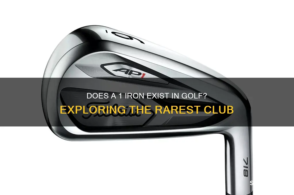 is there a 1 iron in golf