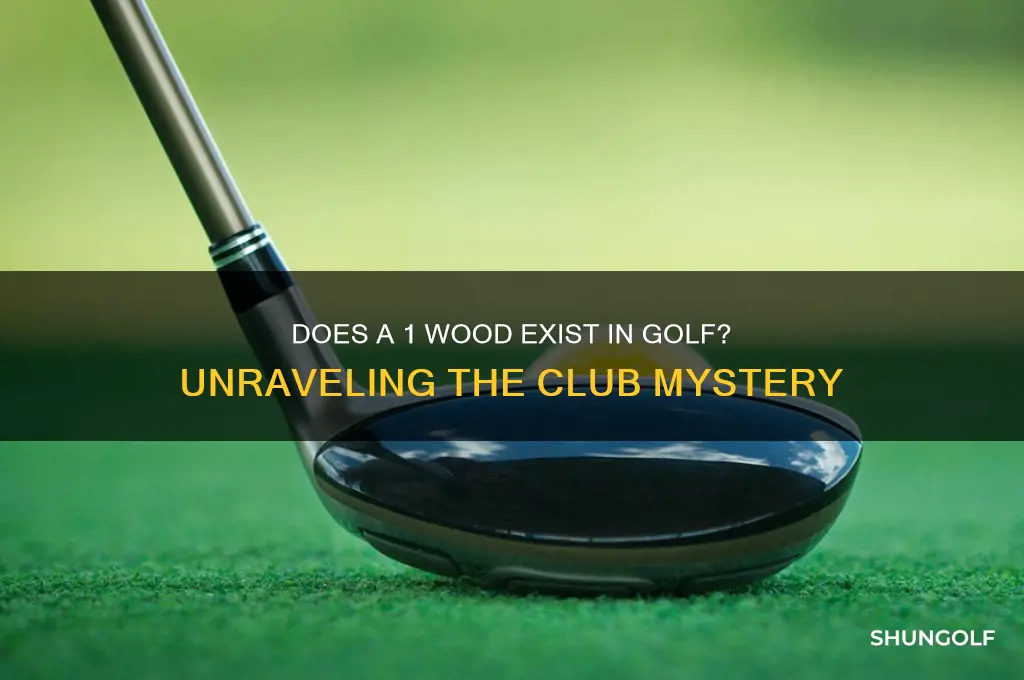 is there a 1 wood in golf