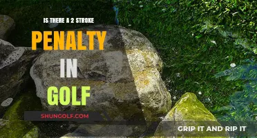 Understanding Golf's 2 Stroke Penalty: Rules, Scenarios, and Consequences