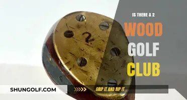 Exploring the Rarity: Does a 2 Wood Golf Club Exist?