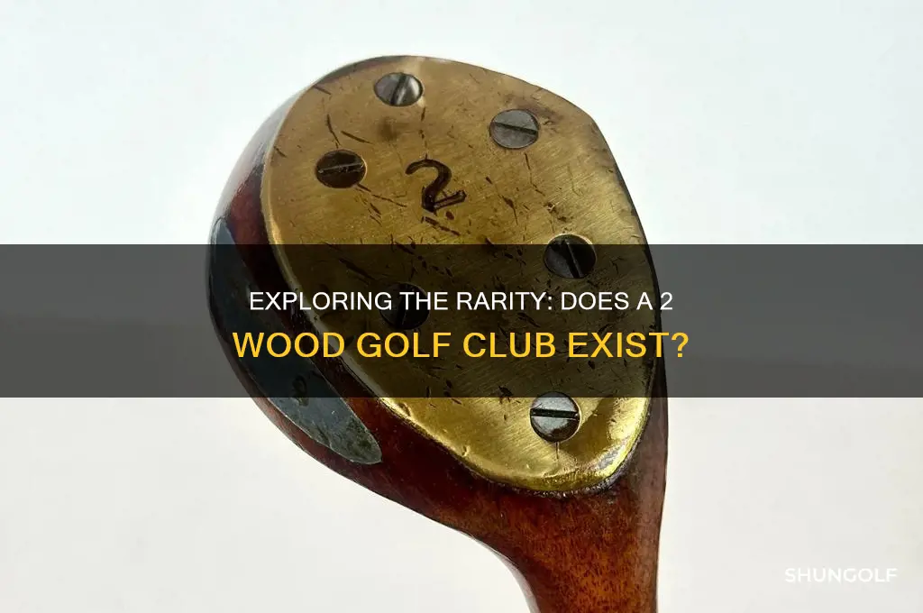 is there a 2 wood golf club