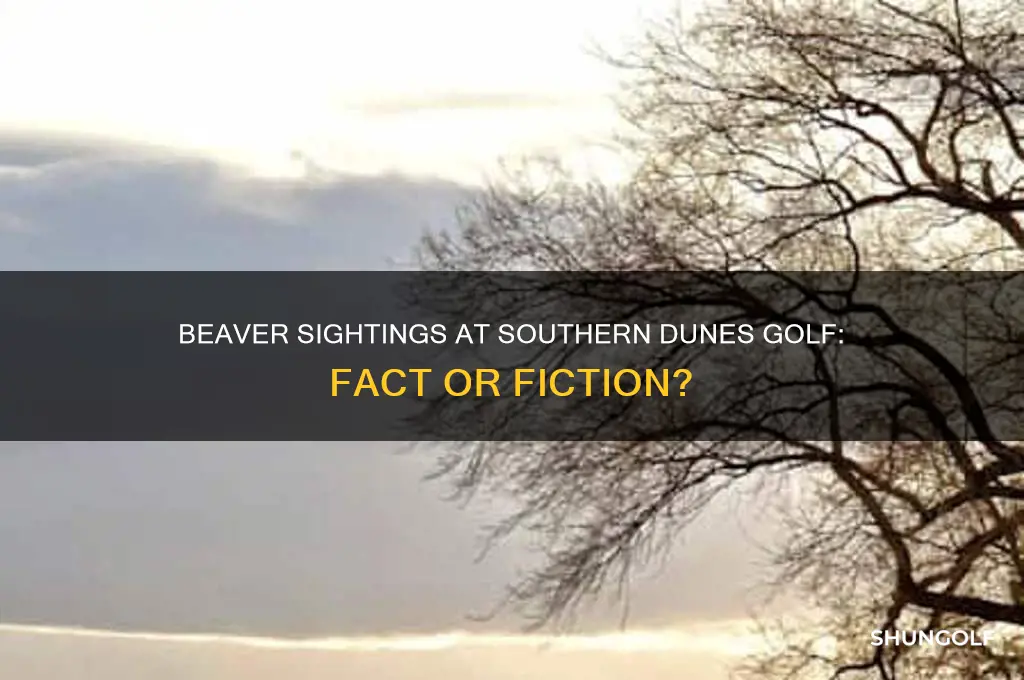 is there a beaver at southern dunes golf