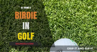 Golf Birdies: What Are They?