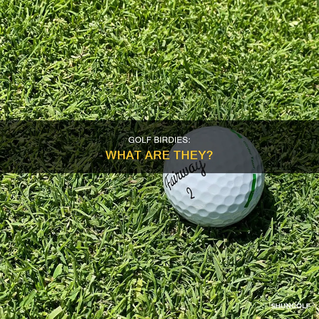 is there a birdie in golf