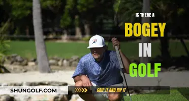 Golf Bogey: Friend or Foe?
