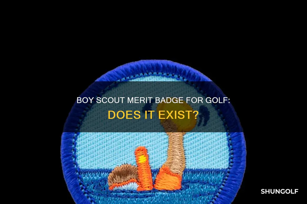 is there a boy scout merit badge for golf