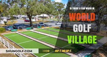 Car Wash Near World Golf Village: Convenient Options for Residents