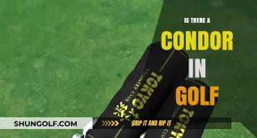 Golf's Condor: The Rarest Birdie of Them All