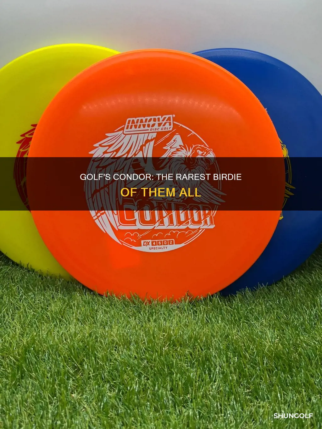 is there a condor in golf