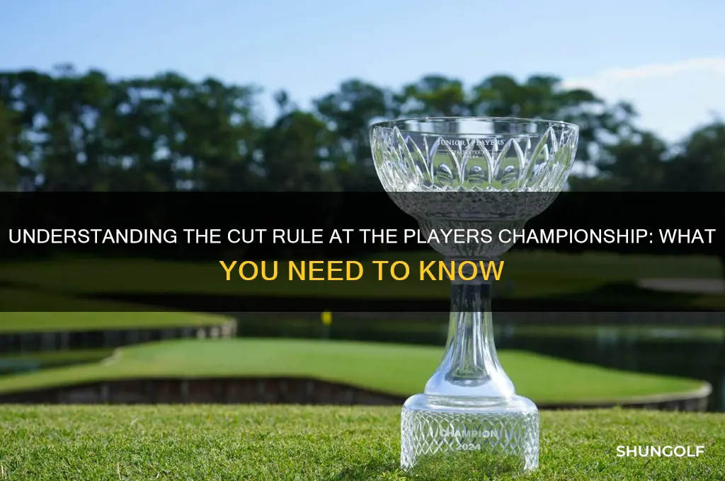 is there a cut at the players championship