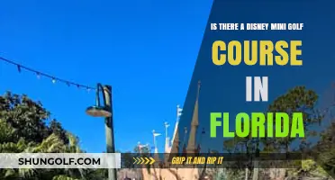Discover Florida's Magical Disney Mini Golf Course: A Fun Adventure
