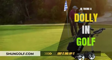 Golf Dolly: What, When, and Why?