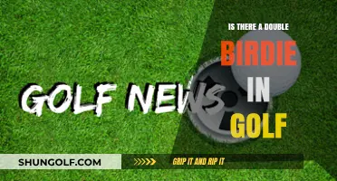 Double Birdie in Golf: Myth or Rare Reality Explained