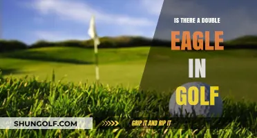 Double Eagle in Golf: Unraveling the Albatross Mystery on the Green