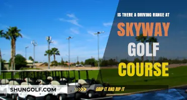 Does Skyway Golf Course Offer a Driving Range? Find Out Here