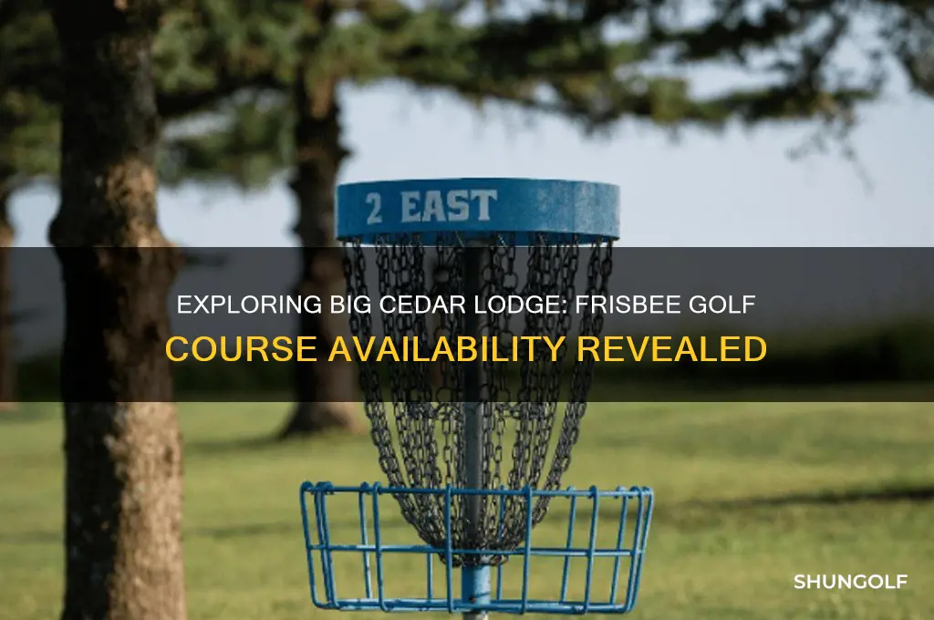 is there a frisbee golf course at big cedar lodge