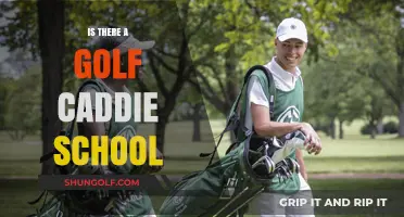 Golf Caddie School: Is It Necessary?