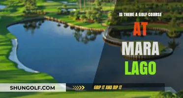 Exploring Mar-a-Lago: Does Trump's Resort Include a Golf Course?