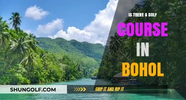 Exploring Bohol's Golf Scene: Is There a Course on the Island?