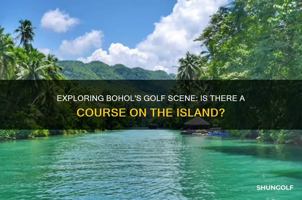 is there a golf course in bohol