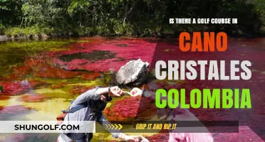 Exploring Cano Cristales: Does Colombia's River of Five Colors Have a Golf Course?