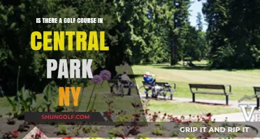 Exploring Central Park NY: Does It Hide a Golf Course?