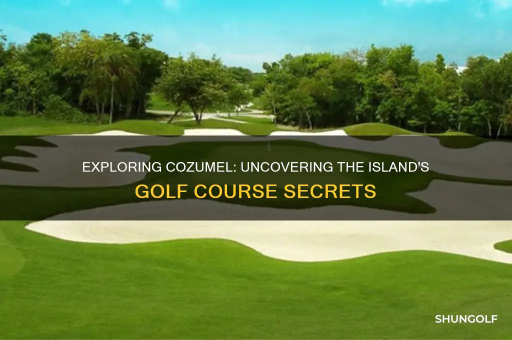 is there a golf course in cozumel