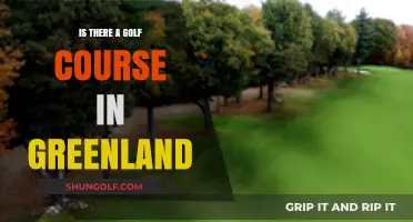 Exploring Greenland's Golf Scene: Does a Course Exist in the Arctic?