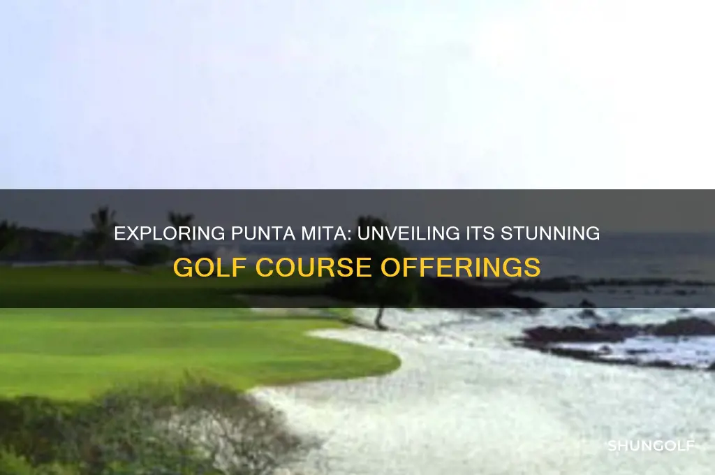 is there a golf course in punta mita