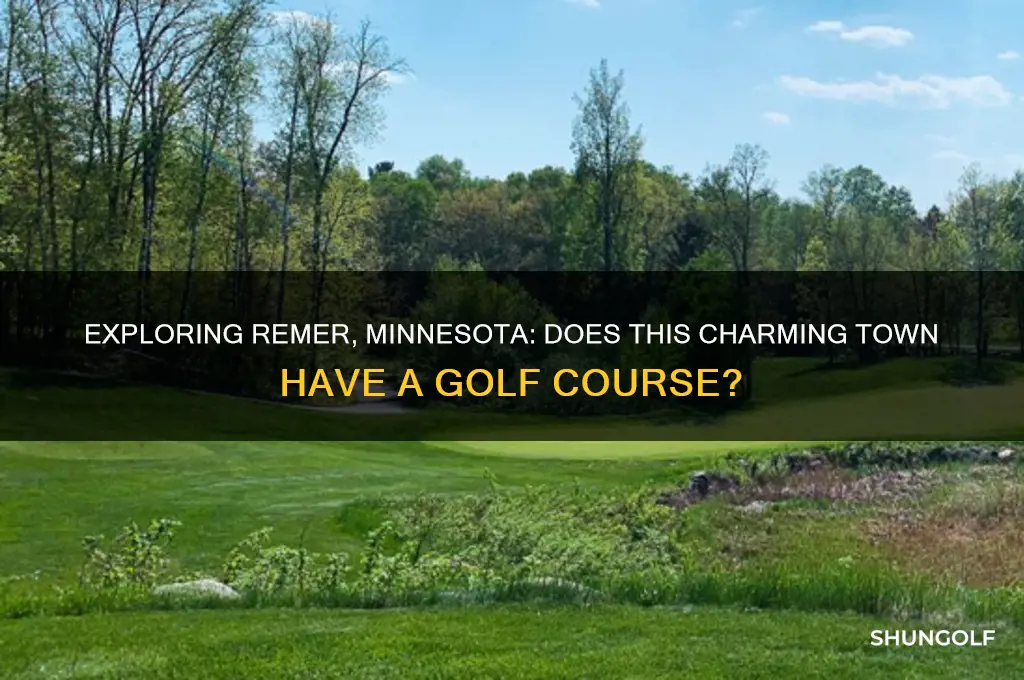 is there a golf course in remer minnesota