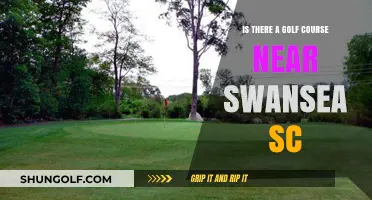 Discover Golf Courses Near Swansea, SC: A Local Guide