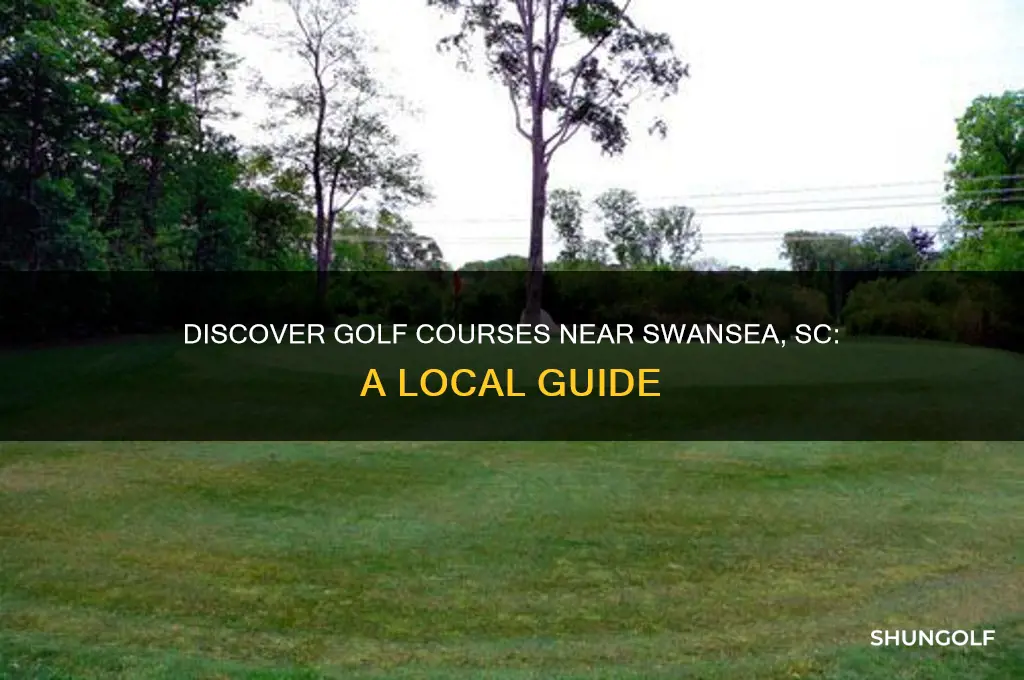 is there a golf course near swansea sc