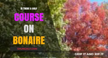 Exploring Bonaire: Does This Caribbean Island Offer a Golf Course?