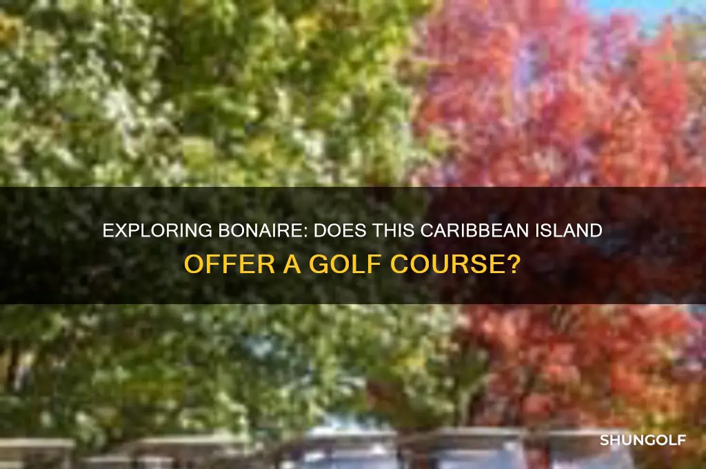is there a golf course on bonaire