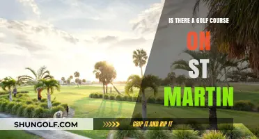 Exploring St. Martin: Golf Course Availability and Top Spots