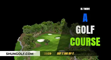 Exploring the Presence of Golf Courses in Your Local Area
