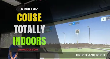 Exploring the World of Indoor Golf Courses: Are They Fully Enclosed?