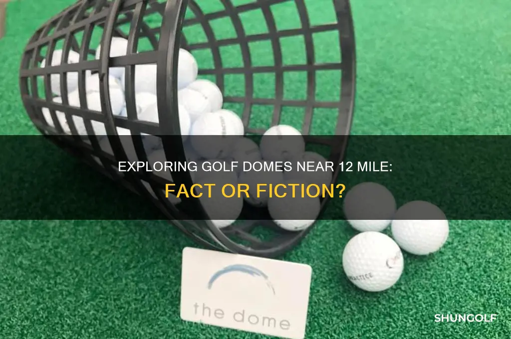 is there a golf dome on 12 mile