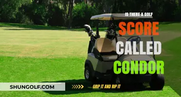 Condor in Golf: Myth or Reality? Exploring Rare Scores