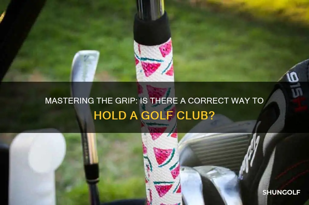 is there a holding a golf club correctly rule