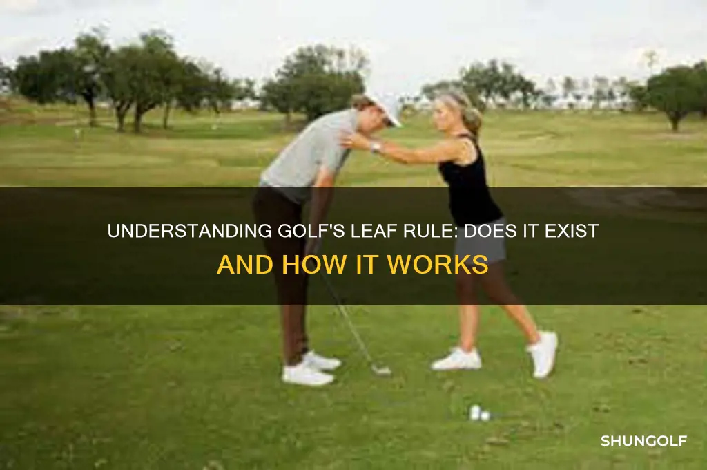 is there a leaf rule in golf