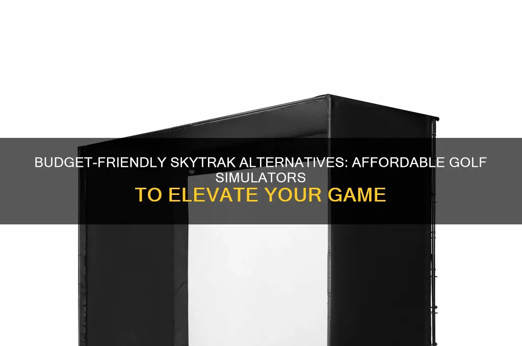 is there a less expensive alternative to skytrak golf
