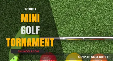 Mini Golf Tournament: Who Will Be the Champion?
