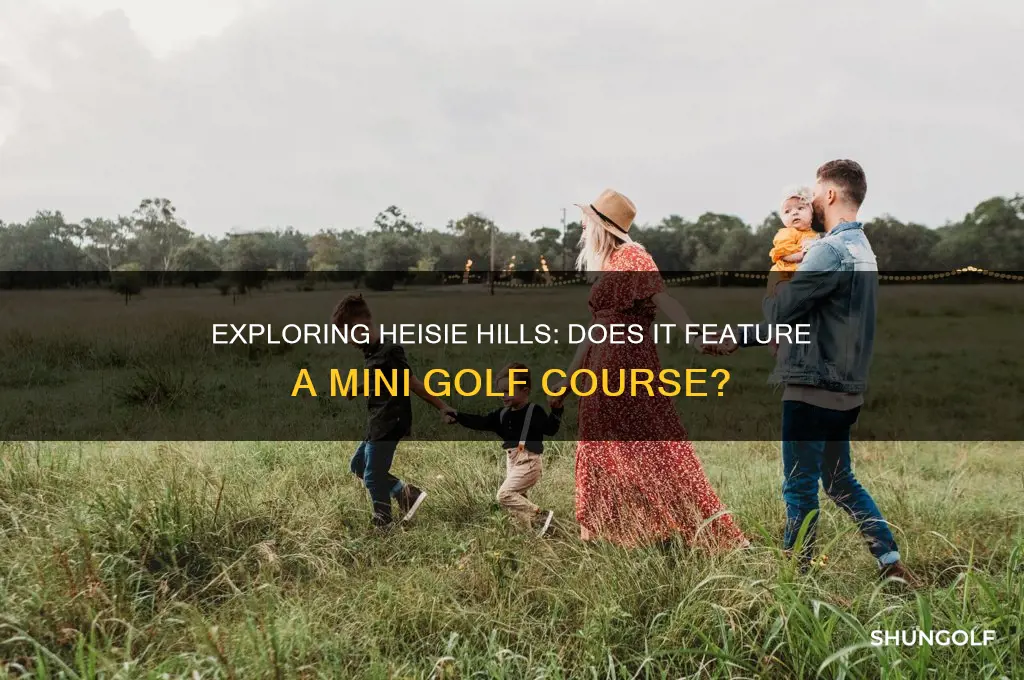 is there a miniature golf course at heisie hills