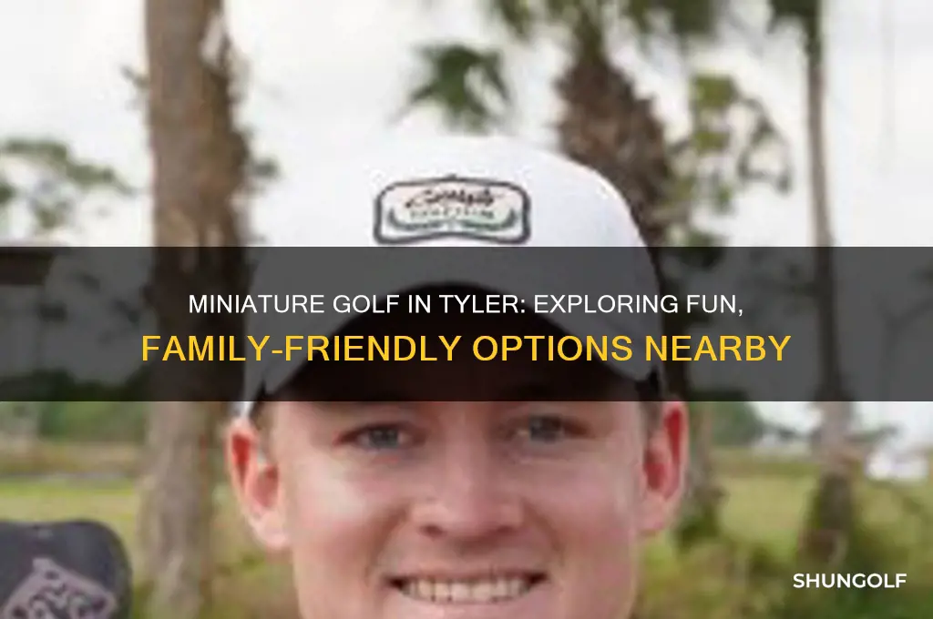 is there a miniature golf course in tyler