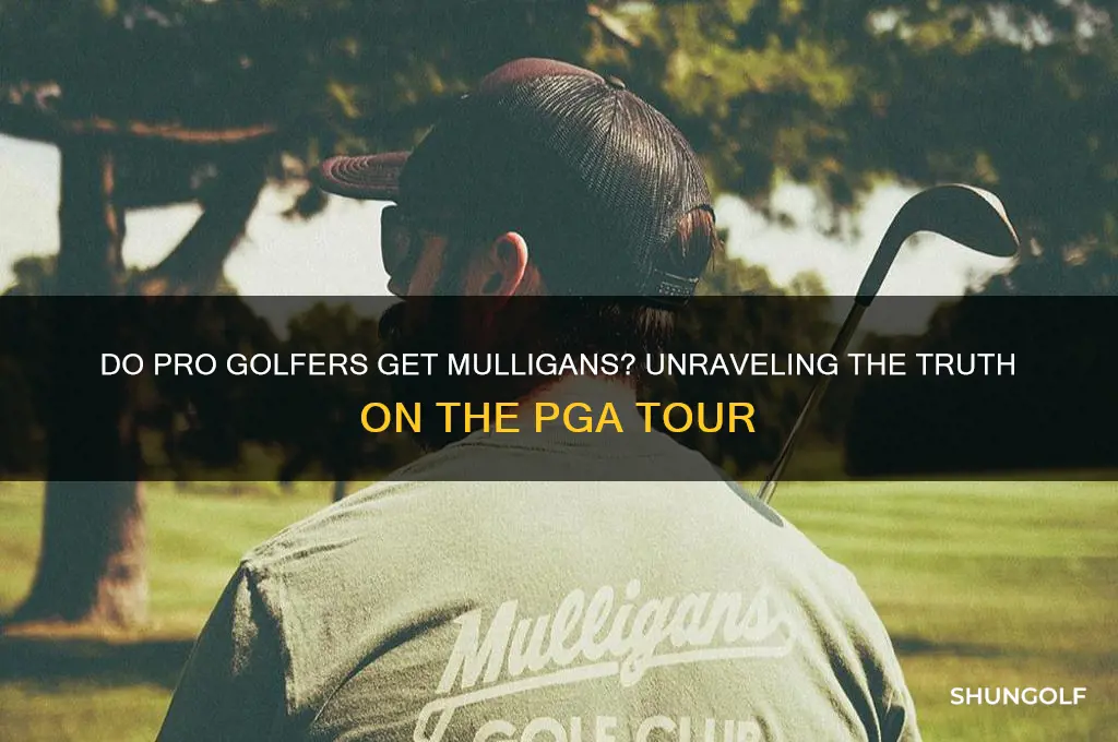is there a mulligan in pro golf