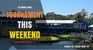 Teeing Off This Weekend: A Look at the PGA Tournament Schedule