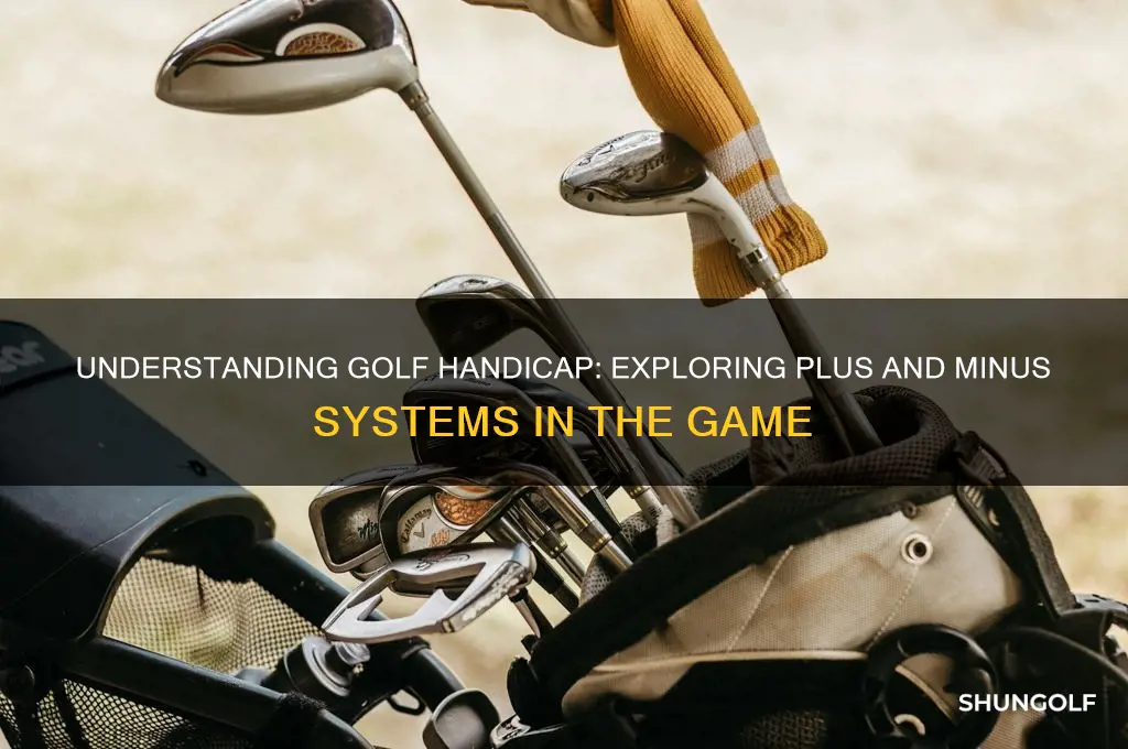 is there a plus and minus handicap in golf