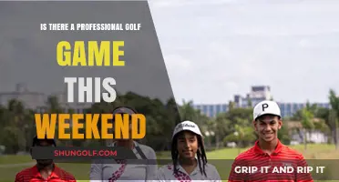 Professional Golf This Weekend: Schedule, Players, and Key Matchups